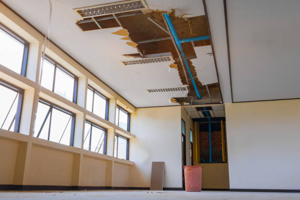 Best Professional water damage repair  in Kingston, PA