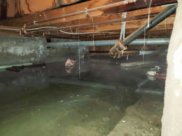 Best Emergency water damage restoration  in Kingston, PA