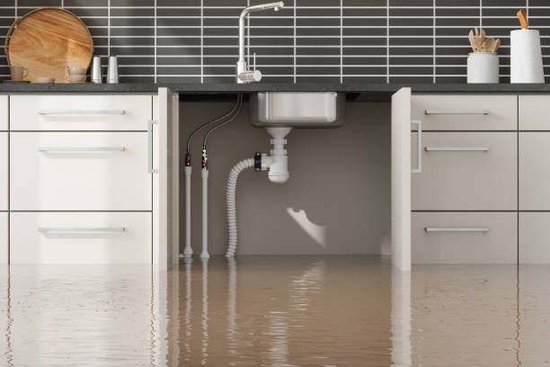 Best Mold removal after water damage  in Kingston, PA