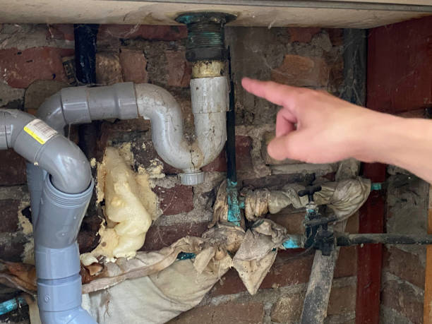 Best Water damage cleanup near me  in Kingston, PA
