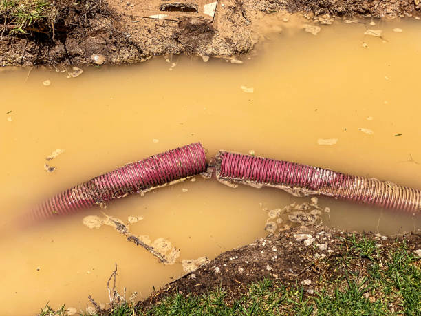 Best Water damage restoration process  in Kingston, PA