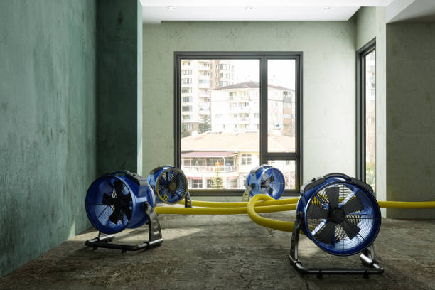 Best Water damage contractors near me  in Kingston, PA
